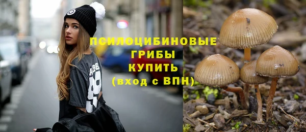 кокс Новозыбков