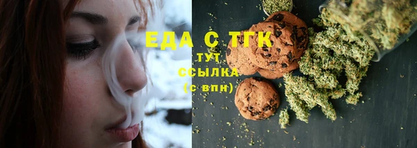индика Новодвинск