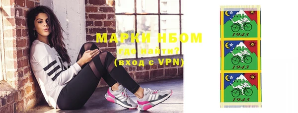 индика Новодвинск