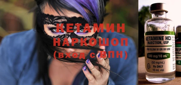 индика Новодвинск