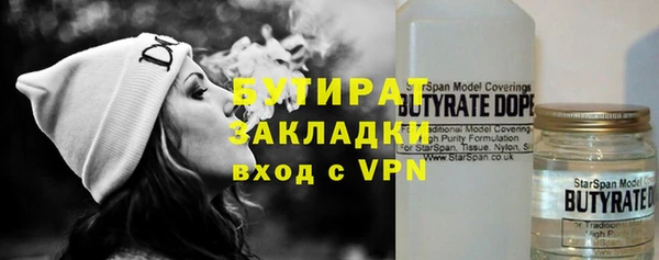 индика Новодвинск