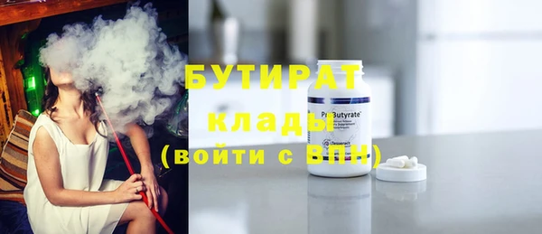 индика Новодвинск