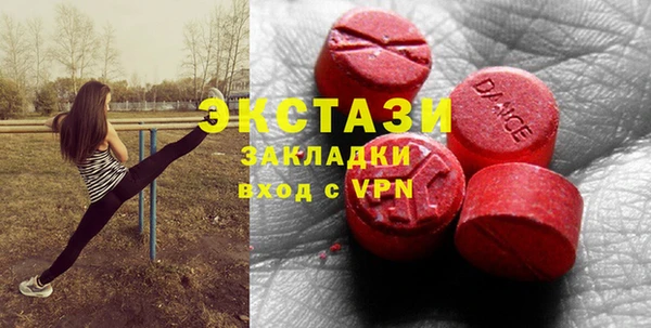 индика Новодвинск