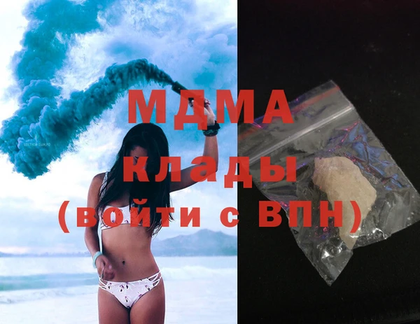 индика Новодвинск