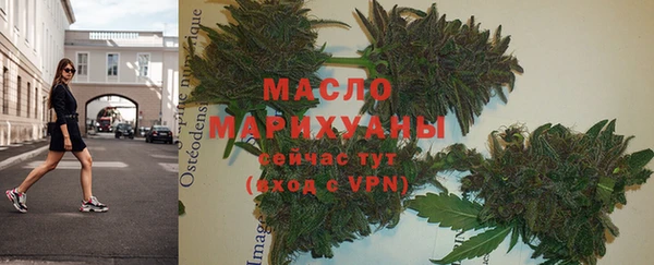 индика Новодвинск