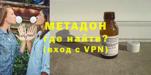 индика Новодвинск