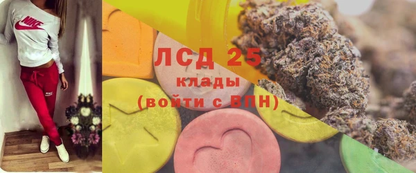 индика Новодвинск