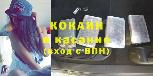 индика Новодвинск