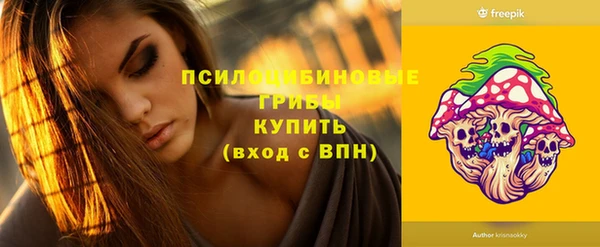 индика Новодвинск