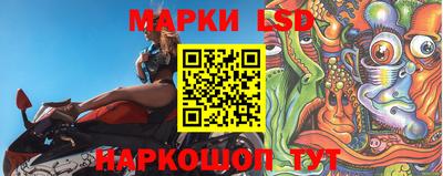 прущие грибы Абинск
