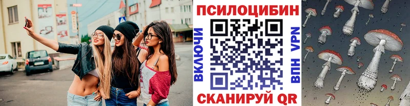 Галлюциногенные грибы Psilocybine cubensis  закладка  Ялуторовск 